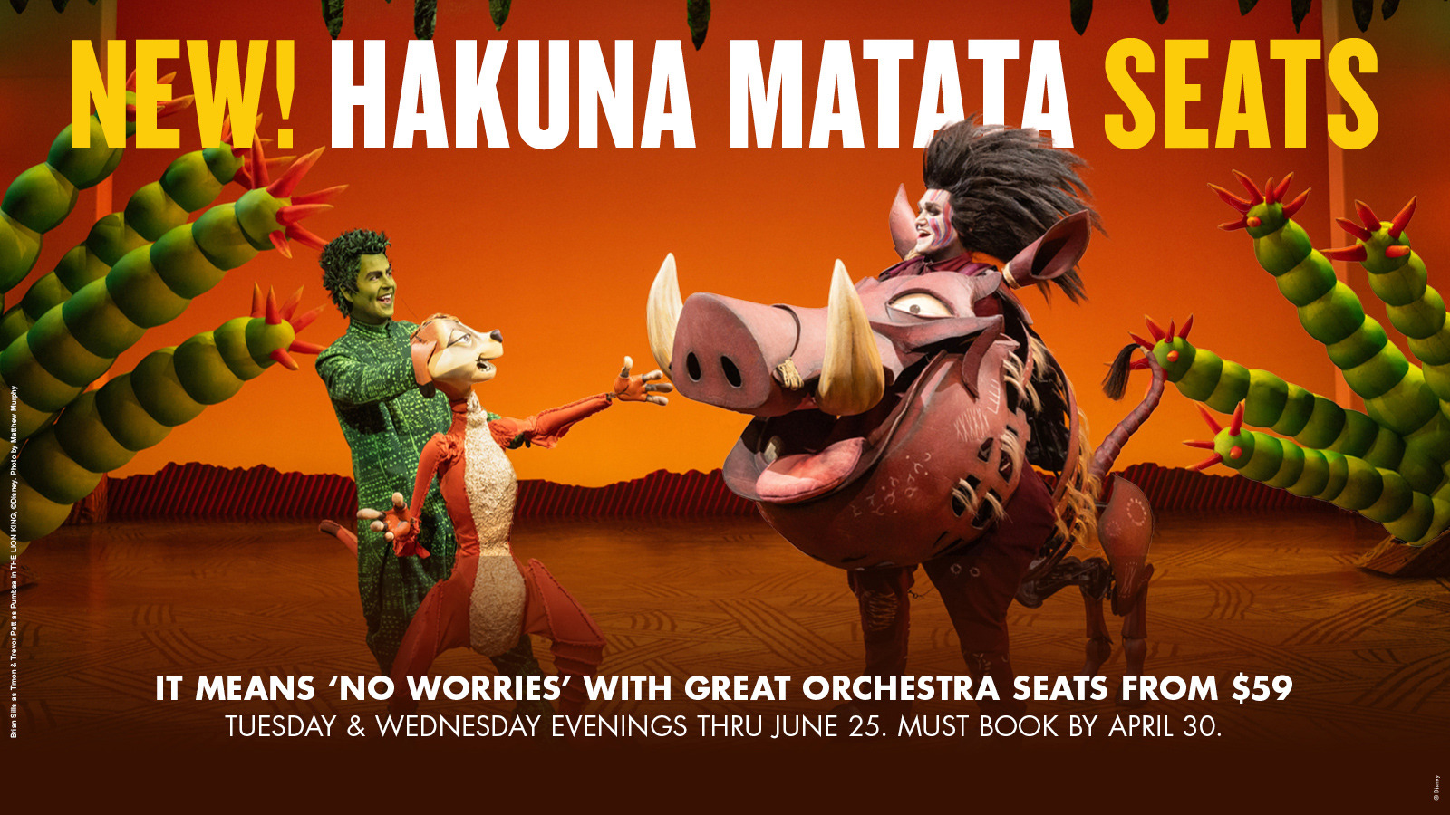 New! Hakuna Matata Seats